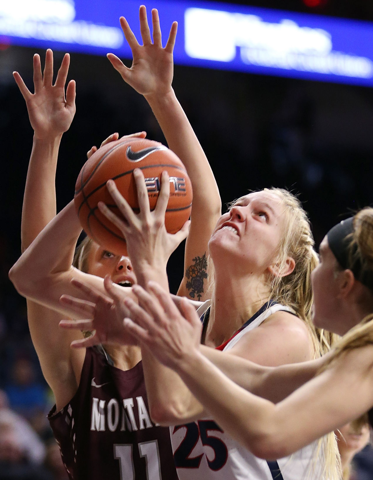 Arizona Wildcats 100, Montana Grizzlies 51